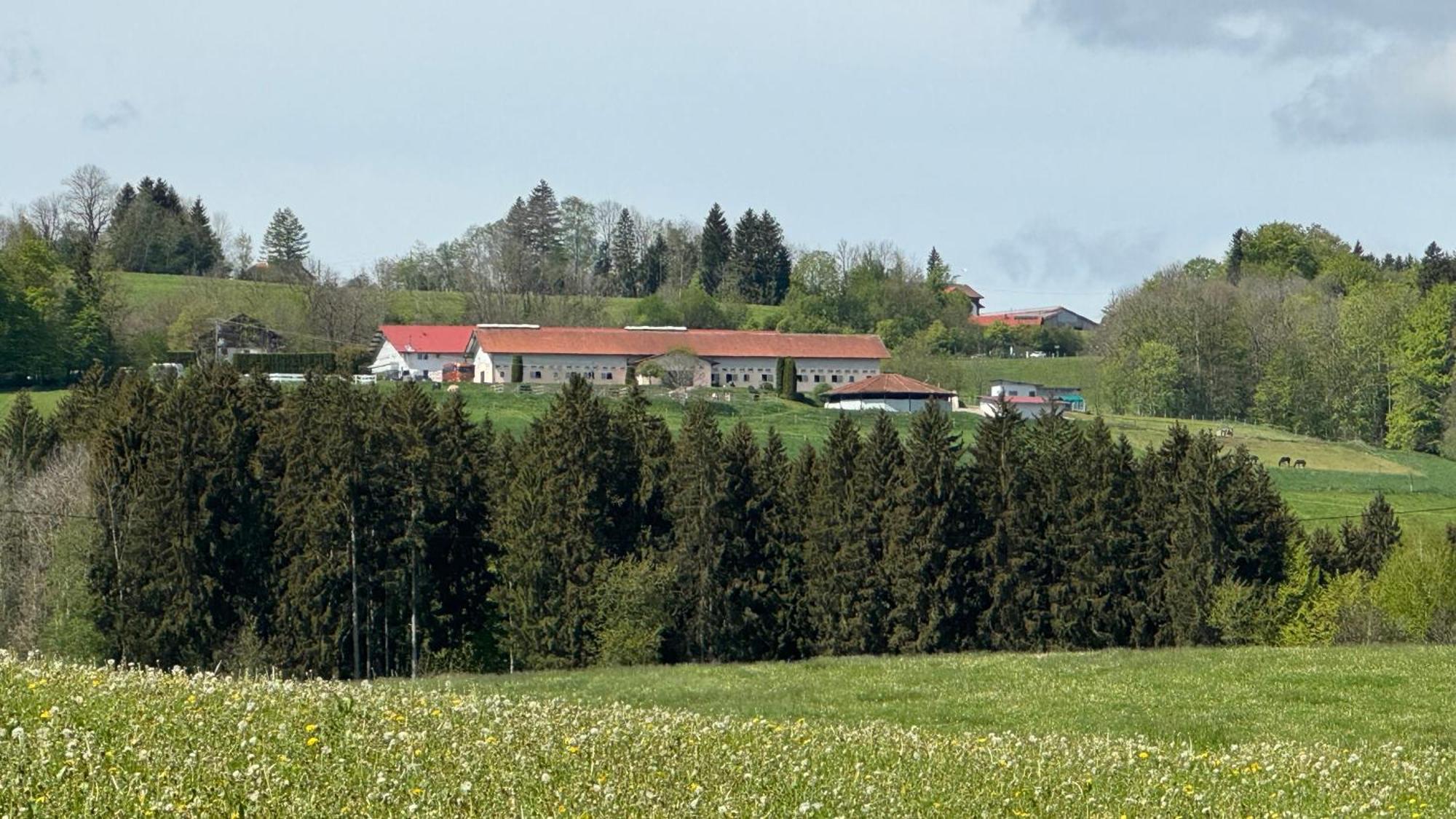 Gut Buchenhof Buchenberg (Bavaria) Exterior foto